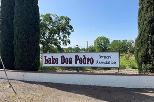 9726 Banderilla Dr, La Grange, CA 95329 - Photo 9