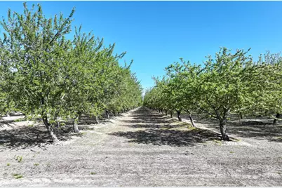 11885 Road 9, Madera, CA 93637 - Photo 21