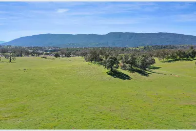 1229 W Murray Creek Road, San Andreas, CA 95249 - Photo 7