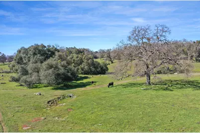 1229 W Murray Creek Road, San Andreas, CA 95249 - Photo 31