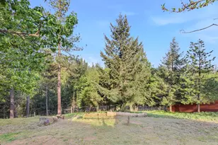 26375 Barb Wire Ln, Colfax, CA 95713 - Photo 53
