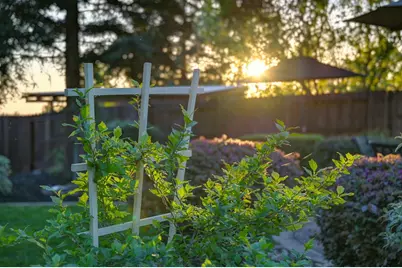 1665 Gallinger Court, Folsom, CA 95630 - Photo 79