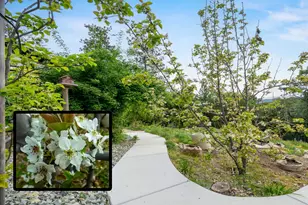 16105 John Way, Grass Valley, CA 95949 - Photo 59