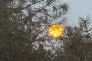 10360 Oak Canyon Dr, Penn Valley, CA 95946 - Photo 63