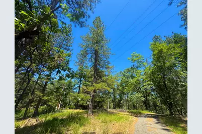 355 Retherford Road, Colfax, CA 95713 - Photo 5