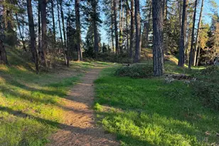 0 Pleasant St, Grass Valley, CA 95945 - Photo 1