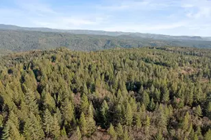 5498 Platt Mountain Rd, Forest Ranch, CA 95942 - Photo 55