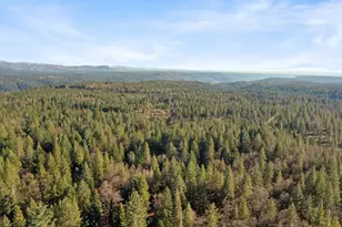 5498 Platt Mountain Rd, Forest Ranch, CA 95942 - Photo 57