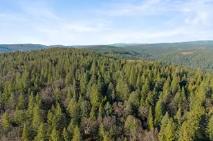 5498 Platt Mountain Rd, Forest Ranch, CA 95942 - Photo 59