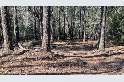 0 87 Acres Rock Creek Road, Garden Valley, CA 95633 - Photo 27