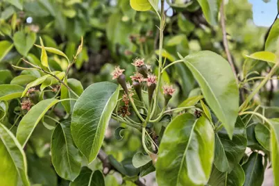 0 Andrus Island Road, Isleton, CA 95641 - Photo 27