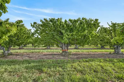 0 Andrus Island Road, Isleton, CA 95641 - Photo 21