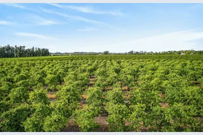 0 Andrus Island Road, Isleton, CA 95641 - Photo 31