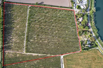 0 Andrus Island Road, Isleton, CA 95641 - Photo 9