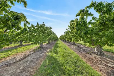 0 Andrus Island Road, Isleton, CA 95641 - Photo 19