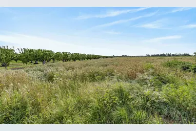 0 Andrus Island Road, Isleton, CA 95641 - Photo 15