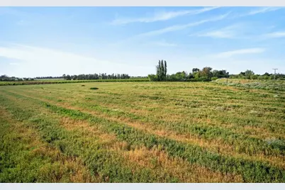 0 Andrus Island Road, Isleton, CA 95641 - Photo 37