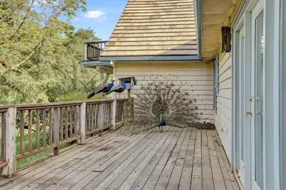 16185 Del Mar Way, Penn Valley, CA 95946 - Photo 45