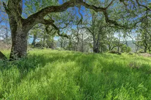 16185 Del Mar Way, Penn Valley, CA 95946 - Photo 93