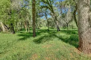 16185 Del Mar Way, Penn Valley, CA 95946 - Photo 57