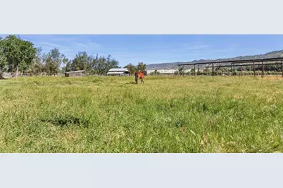 16250 County Road 56, Guinda, CA 95637 - Photo 31