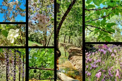 16804 Alice Way, Grass Valley, CA 95949 - Photo 55