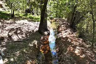 16804 Alice Way, Grass Valley, CA 95949 - Photo 61