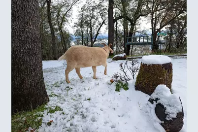 1581 Moccasin Trail, Placerville, CA 95667 - Photo 59