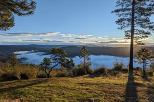 1581 Moccasin Trail, Placerville, CA 95667 - Photo 63