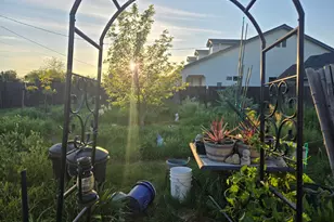 4694 Pacific Ave, Olivehurst, CA 95961 - Photo 3