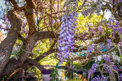 23404 N Bruella Road, Acampo, CA 95220 - Photo 61