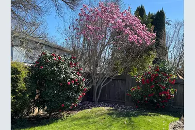 3600 Coye Oak Drive, Modesto, CA 95355 - Photo 41