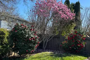 3600 Coye Oak Dr, Modesto, CA 95355 - Photo 41