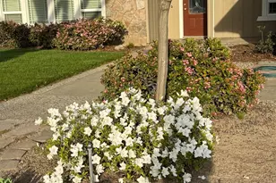 3600 Coye Oak Dr, Modesto, CA 95355 - Photo 49