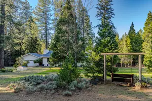 22401 Shake Ridge Rd, Volcano, CA 95689 - Photo 11