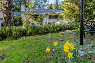 22401 Shake Ridge Rd, Volcano, CA 95689 - Photo 5