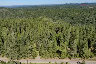 22401 Shake Ridge Rd, Volcano, CA 95689 - Photo 65