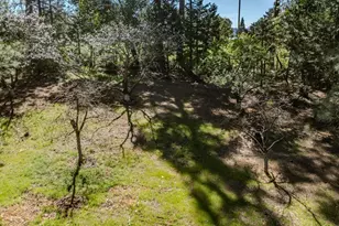 22401 Shake Ridge Rd, Volcano, CA 95689 - Photo 63