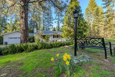 22401 Shake Ridge Road, Volcano, CA 95689 - Photo 3