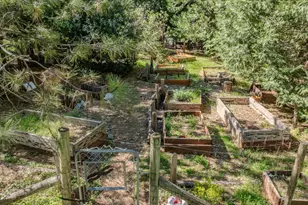 22401 Shake Ridge Rd, Volcano, CA 95689 - Photo 61