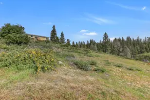 13886 Meadow Valley Rd, Dobbins, CA 95935 - Photo 87