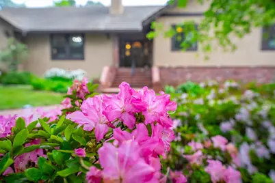 3958 Arabian Way, Shingle Springs, CA 95682 - Photo 61