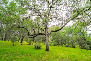 3958 Arabian Way, Shingle Springs, CA 95682 - Photo 71
