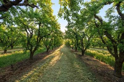 0 Faith Home Road, Ceres, CA 95307 - Photo 9