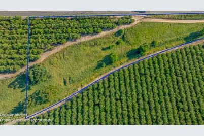 0 Livingston Cressey Road, Livingston, CA 95334 - Photo 11