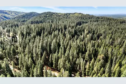 33837 Nary Red Road, Alta, CA 95701 - Photo 73