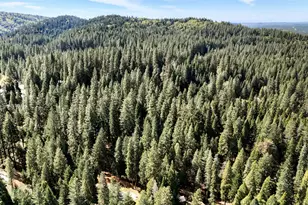 33837 Nary Red Rd, Alta, CA 95701 - Photo 73