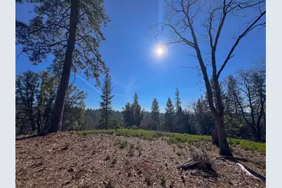 17414 You Bet Road, Grass Valley, CA 95945 - Photo 1