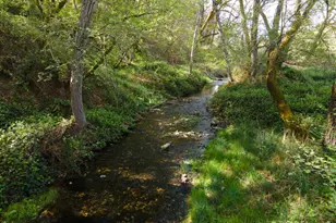 4881 Marshall Rd, Garden Valley, CA 95633 - Photo 23