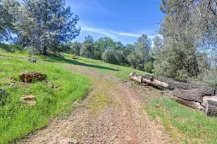 3716 Murphy Ranch Rd, Placerville, CA 95667 - Photo 63